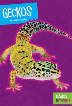 Paperback Geckos Book