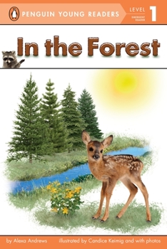 Paperback In the Forest Book