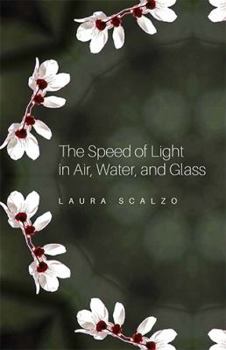 Paperback The Speed of Light in Air, Water, and Glass Book