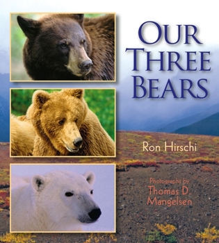 Hardcover Our Three Bears Book