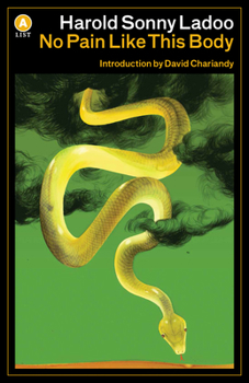 Paperback No Pain Like This Body Book