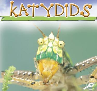 Unknown Binding Katydids Book
