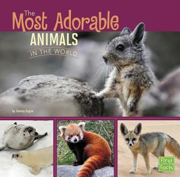 Paperback The Most Adorable Animals in the World Book