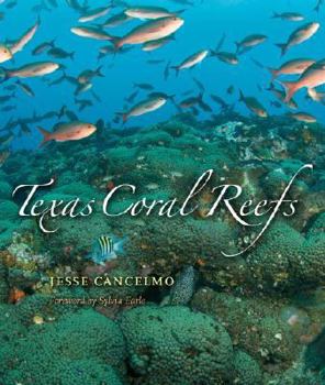 Hardcover Texas Coral Reefs Book