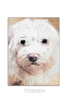 Paperback Tosiek: Magnetic Word Book