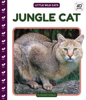 Jungle Cat