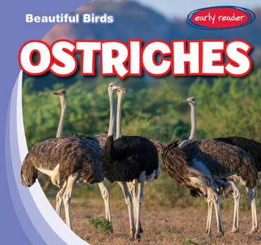 Paperback Ostriches Book