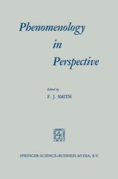 Paperback Phenomenology in Perspective Book