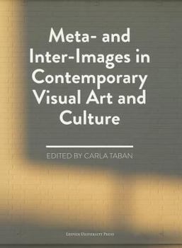 Paperback Meta- And Inter-Images in Contemporary Visual Art and Culture Book