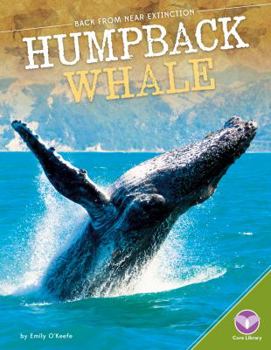 Humpback Whale - Book  of the Back from Near Extinction