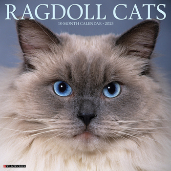 Calendar Ragdoll Cats 2025 12 X 12 Wall Calendar Book