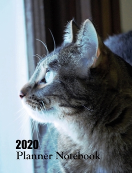 2020 Planner Notebook: Tabby Cat Planner Book With Monthly and Weekly Calendars, Monthly Budget Sheet and Weekly Meal Plan