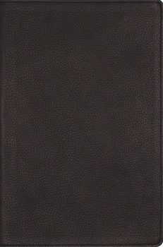Nrsvue, Single-Column Reference Bible, Genuine Calfskin Leather, Black, Art Gilded Edges, Comfort Print