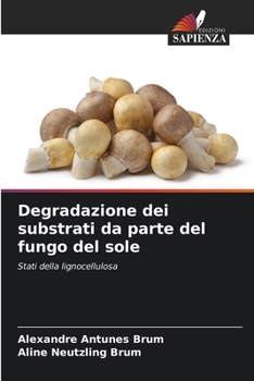 Degradazione dei substrati da parte del fungo del sole (Italian Edition)