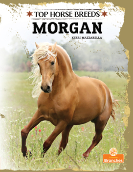 Paperback Morgan Book