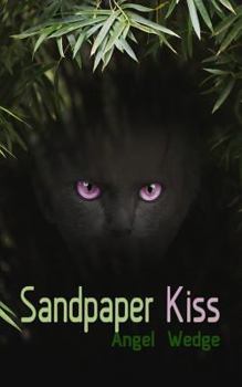 Paperback Sandpaper Kiss Book