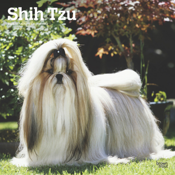 Calendar Shih Tzu 2025 12 X 24 Inch Monthly Square Wall Calendar Plastic-Free Book