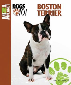 Hardcover Animal Planet Dogs 101 Boston Terrier Book
