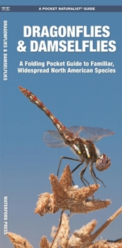 Pamphlet Dragonflies & Damselflies: A Folding Pocket Guide to Familiar, Widespread North American Species Book