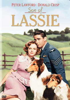DVD Son Of Lassie Book