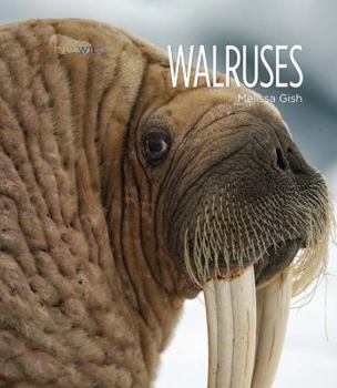 Paperback Walruses Book