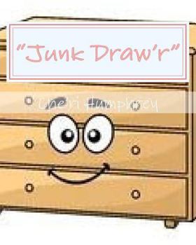 Paperback "Junk Draw'r" Book