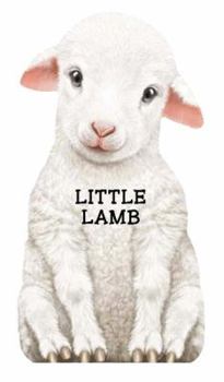 Board book This Little Lamb Book