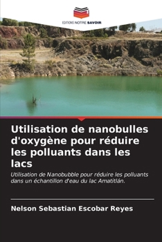 Paperback Utilisation de nanobulles d'oxygène pour réduire les polluants dans les lacs [French] Book