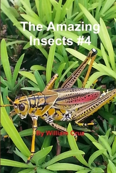 Paperback The Amazing Insects #4 Book