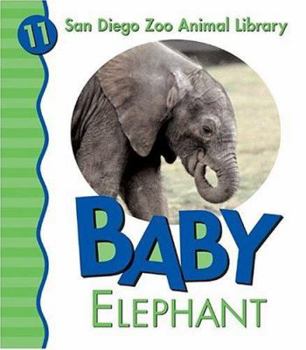 Board book Baby Elephant Book