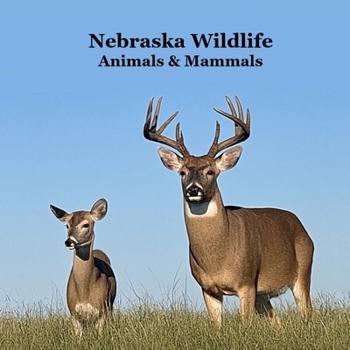 Nebraska Animals and Mammals Kids Wildlife Book: Great Nebraska Animals book with Lifelike Images and Fun Facts