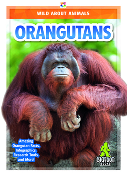 Hardcover Orangutans Book