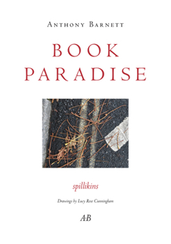 Paperback Book Paradise: Spillikins Book