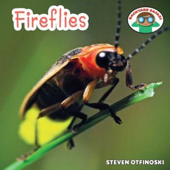 Fireflies - Book  of the Backyard Safari