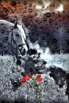 Horse Mural: Notebook