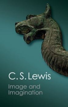 Paperback Image and Imagination Book