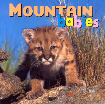 Board book Mountain Babies Book