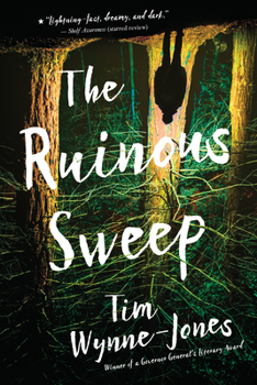 Paperback The Ruinous Sweep Book