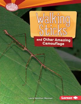 Library Binding Walking Sticks and Other Amazing Camouflage Book
