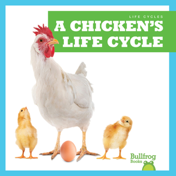 Library Binding A Chicken's Life Cycle Book