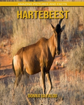 Paperback Hartebeest: Amazing Pictures and Facts Book