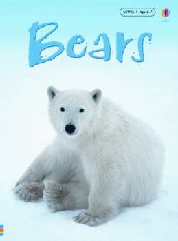 Hardcover Bears Book