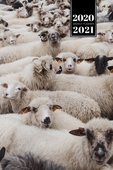 Sheep Lamm Shepherd Herder Farmer Week Planner Weekly Organizer Calendar 2020 / 2021 - Surprised Faces: Cute Wildlife Animal Pet Bullet Journal Notebook Diary in 6” x 9” Inch Pocket Size