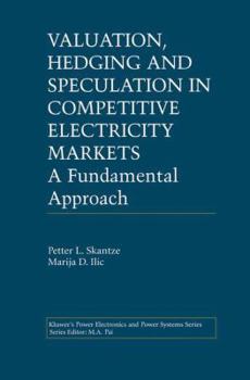 Paperback Valuation, Hedging and Speculation in Competitive Electricity Markets: A Fundamental Approach Book