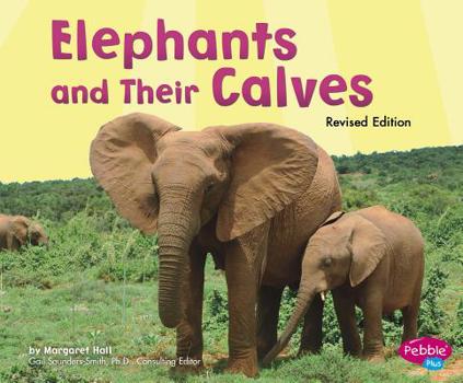 Paperback Elephants and Their Calves Book
