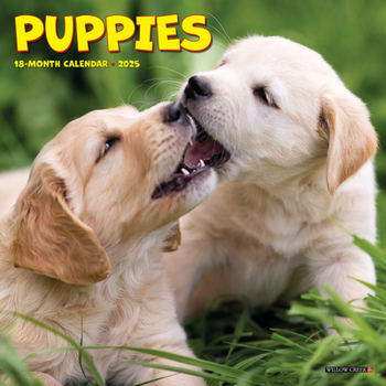 Calendar Puppies 2025 7 X 7 Mini Wall Calendar Book