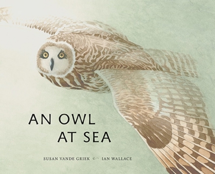 Hardcover An Owl at Sea Book