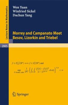 Paperback Morrey and Campanato Meet Besov, Lizorkin and Triebel Book