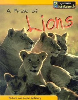 Paperback A Pride of Lions Book