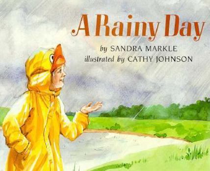 Hardcover A Rainy Day Book